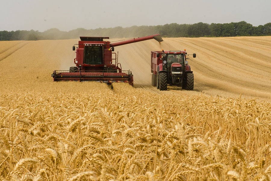 Узбекистан закупил у Казахстана рекордный объем пшеницы