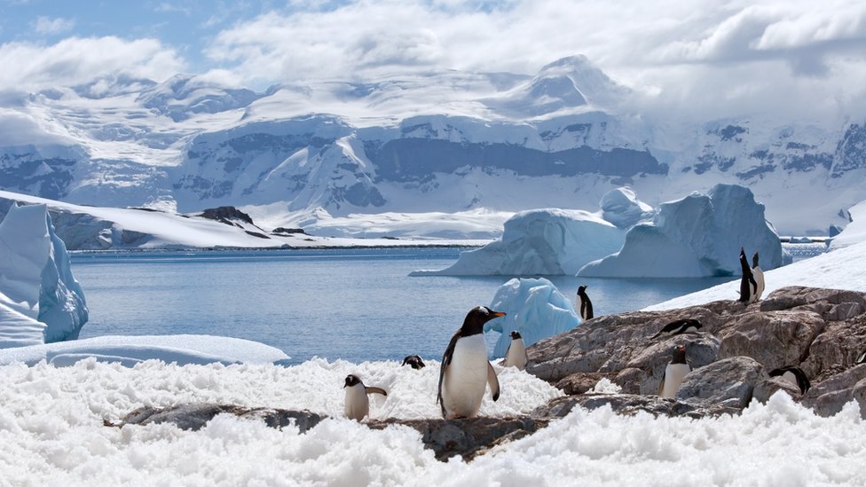 В Антарктиде зафиксировали рекордно низкий уровень льда