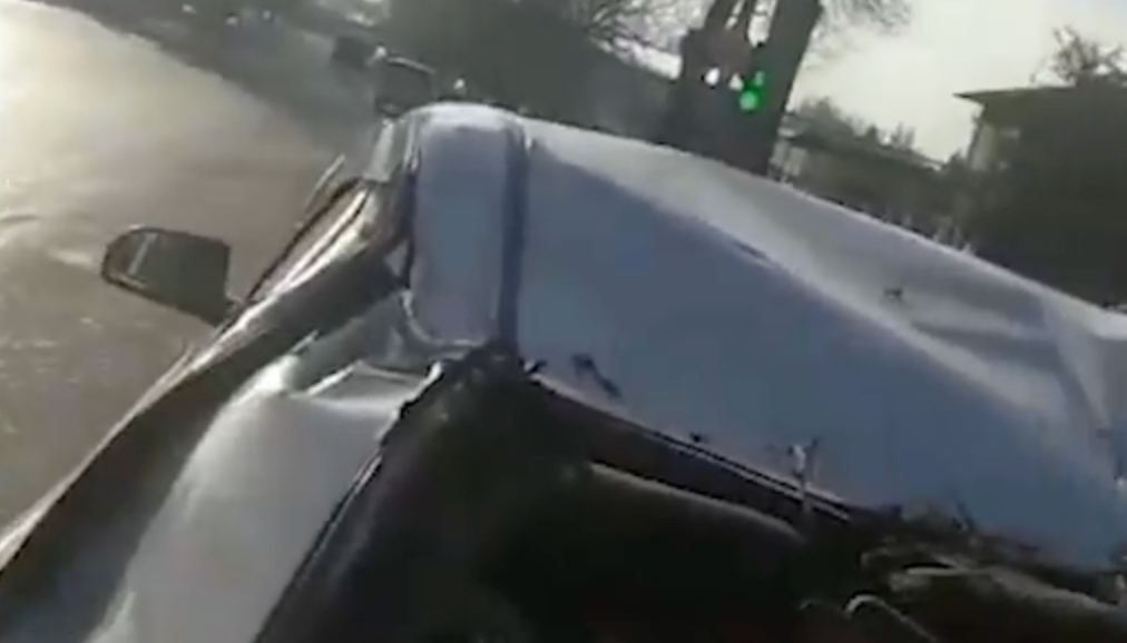 В Ташкенте на автомобиль рухнуло здоровое дерево: пассажирка скончалась в больнице