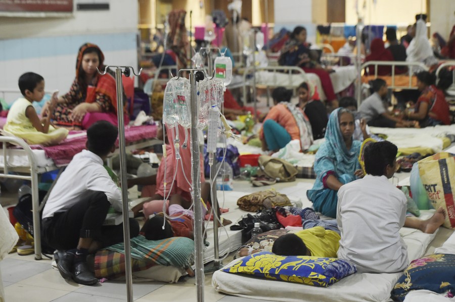 В Бангладеш число жертв лихорадки денге превысило 1,5 тысячи