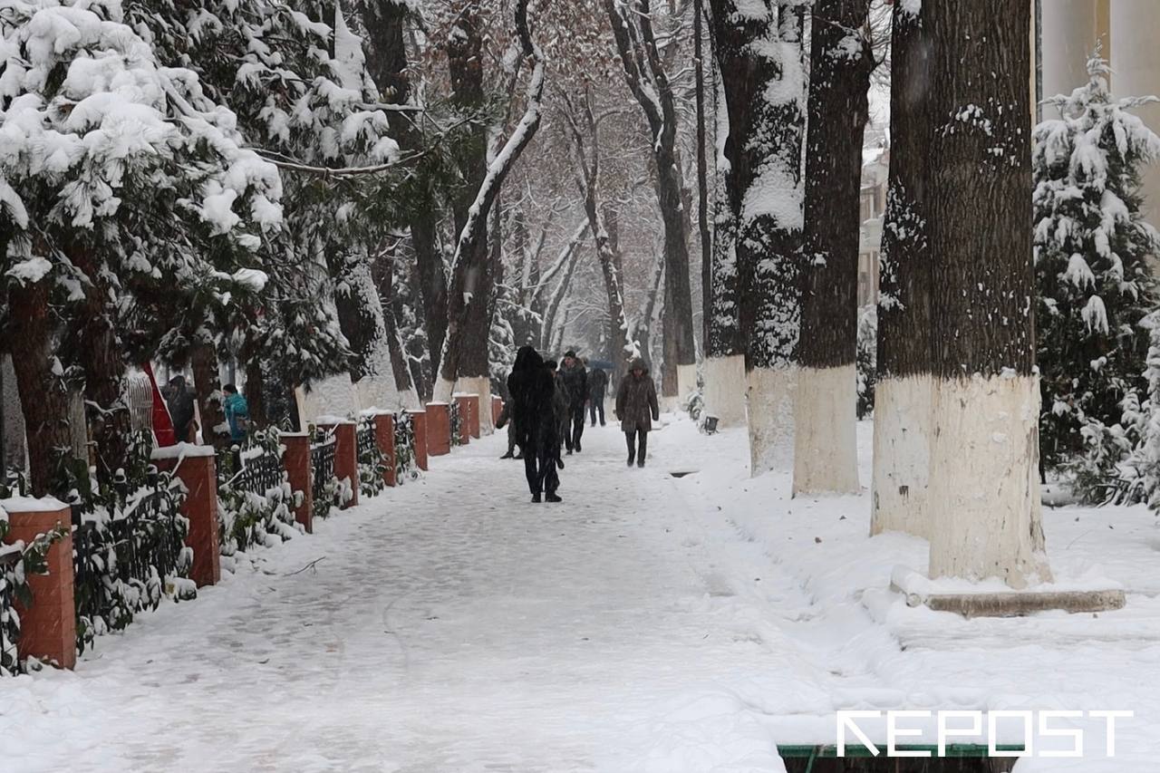 Эксперт рассказал, какой будет предстоящая зима в Узбекистане