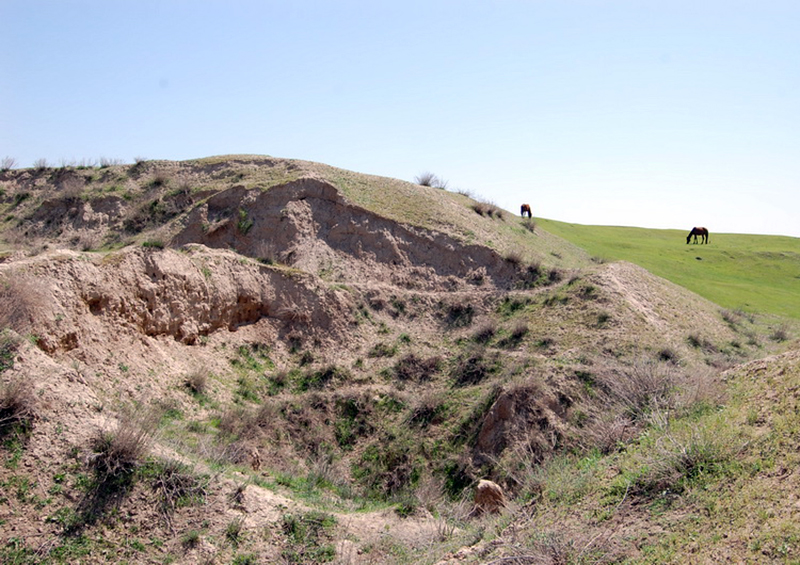 Археологическому памятнику Ташобласти нанесли ущерб на 14 млрд сумов