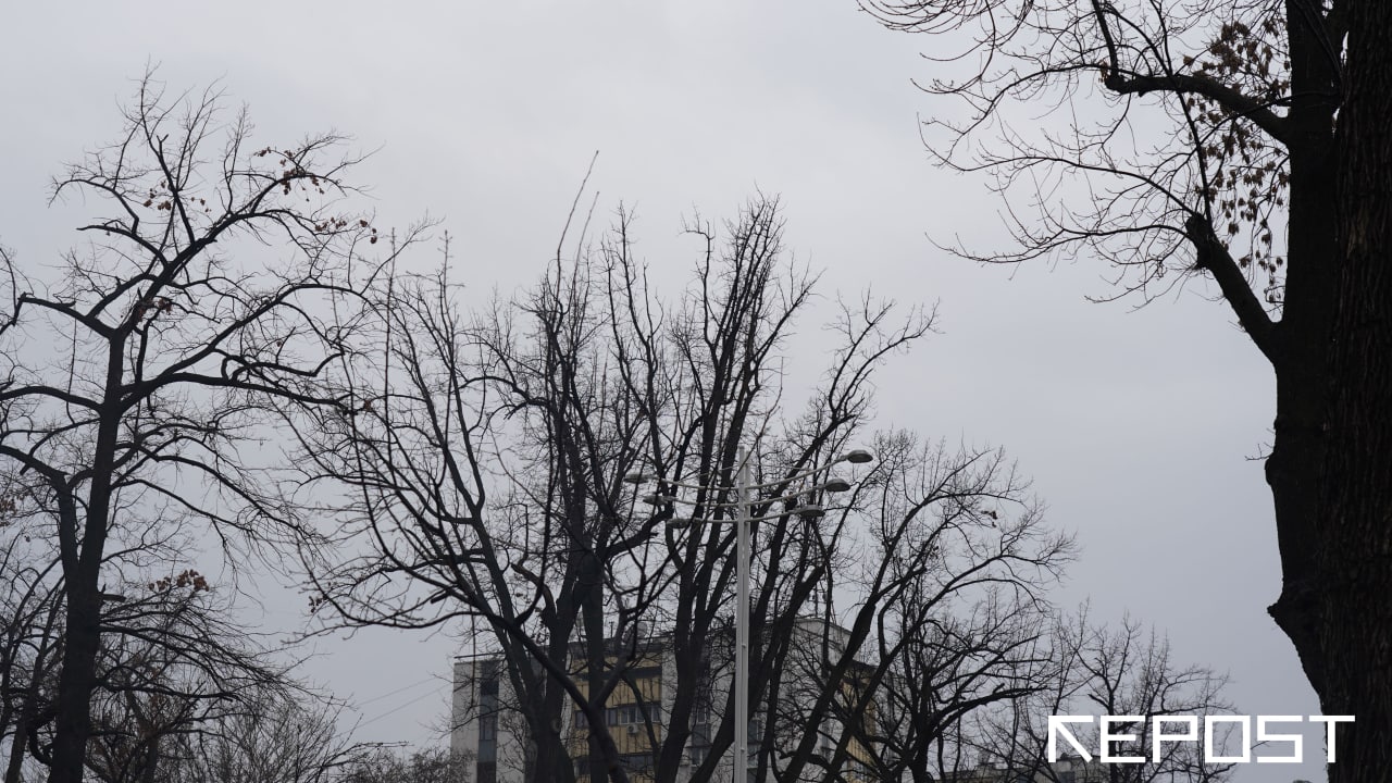 Воздух в Ташкенте на 5 января: уровень загрязнения превысил норму в четыре раза