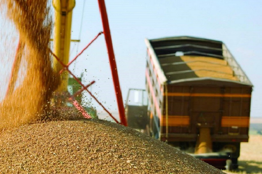 Узбекистан намерен закупить у Казахстана более 1 млн тонн зерна