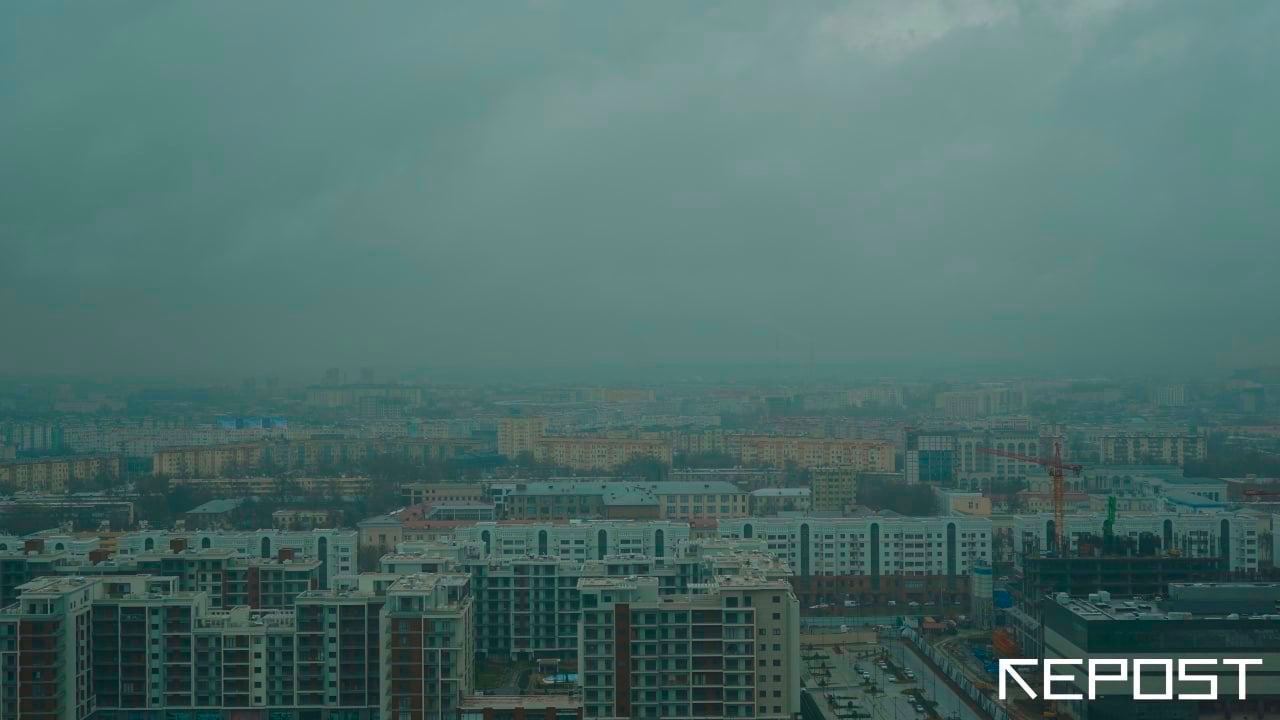 Санэпидкомитет - последние новости от команды Repost.uz