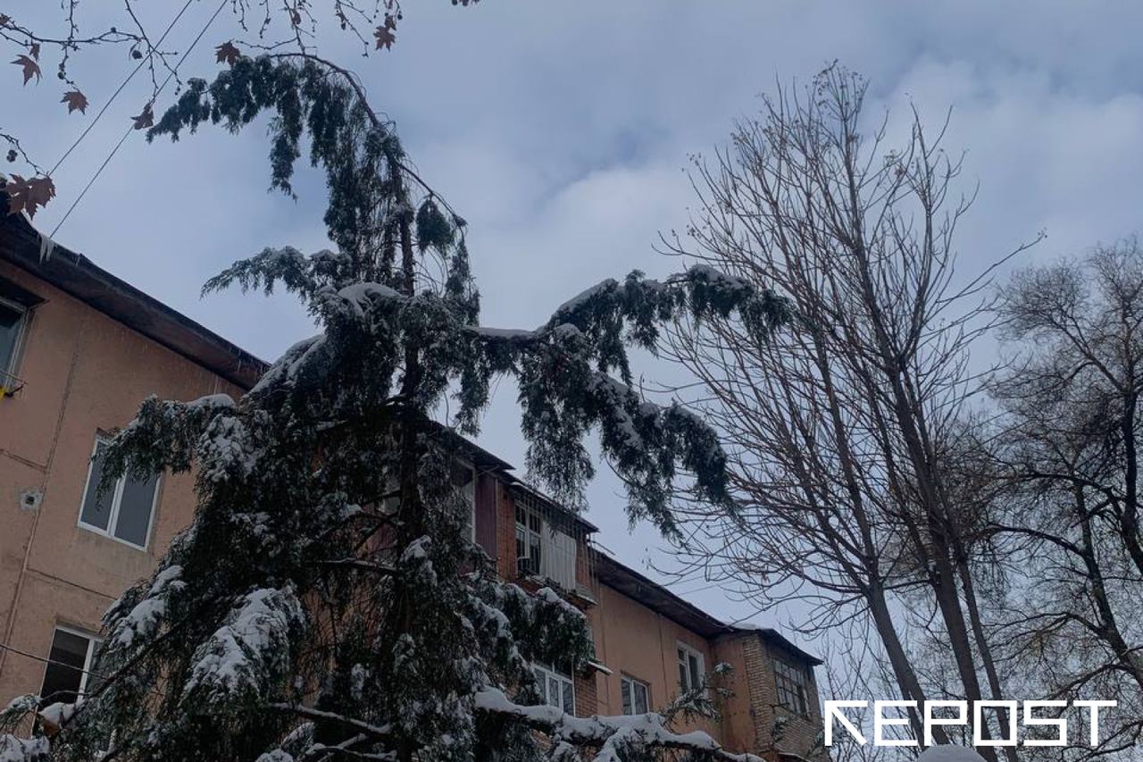 Воздух в Ташкенте на 19 февраля: уровень загрязнения превысил норму в четыре раза