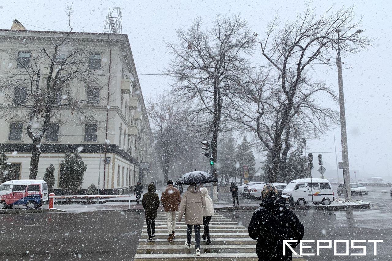 Осадки и морозы: какая погода ждет узбекистанцев на выходных