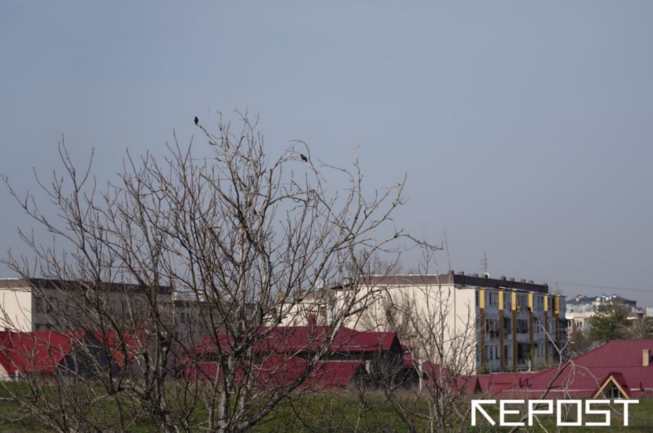 Воздух в Ташкенте на 10 марта: уровень загрязнения превысил норму в два раза