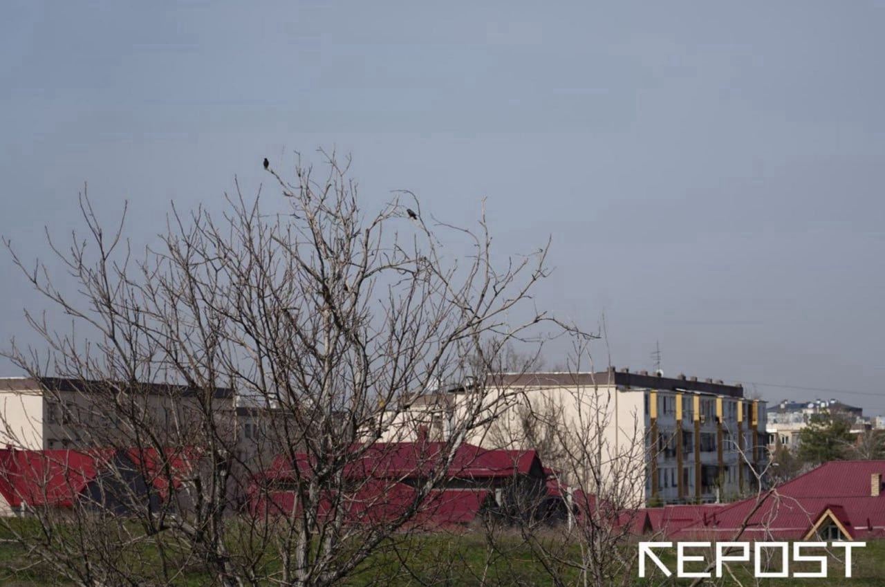 Воздух в Ташкенте на 29 марта: уровень загрязнения превысил норму в пять раз