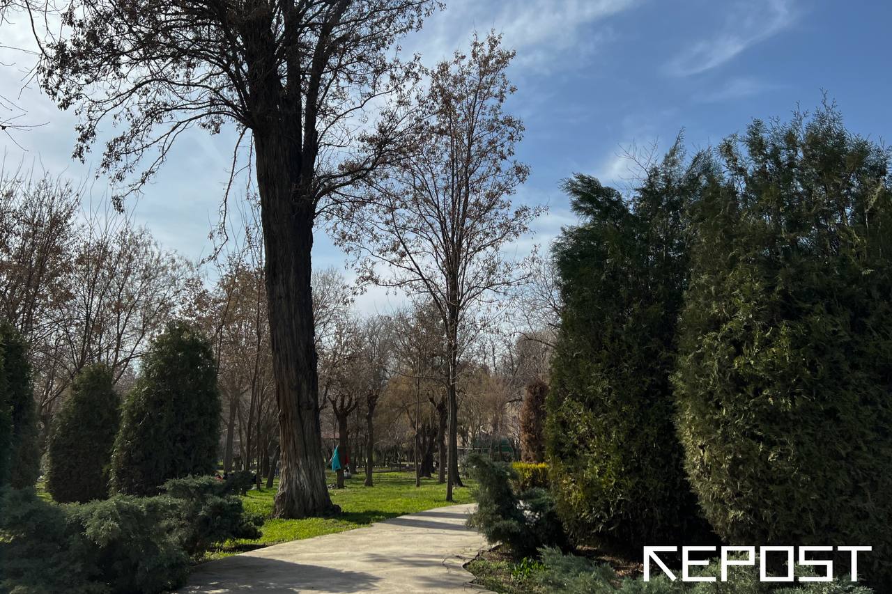 Воздух в Ташкенте на 30 марта: уровень загрязнения превысил норму в четыре раза