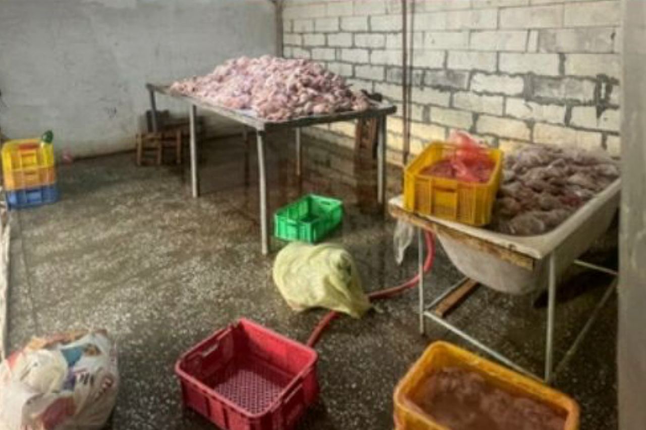 В Ташкенте накрыли подпольный цех по переработке мяса: изъято почти 5 тонн некачественной курятины