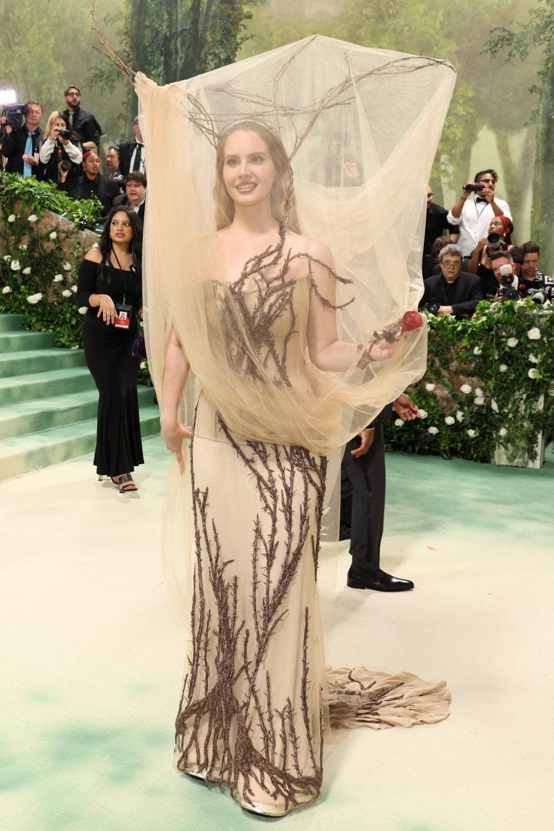 Лана Дель Рей в Alexander McQueen&nbsp;
