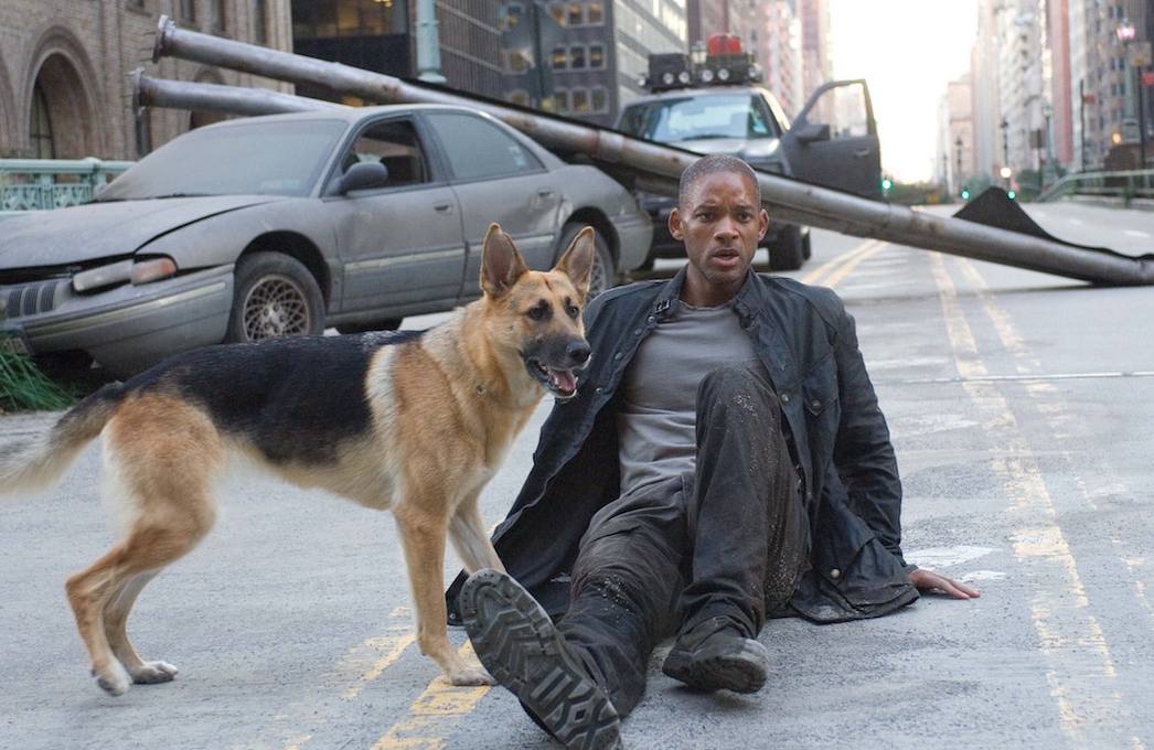 Уилл Смит пытался забрать себе собаку после съемок фильма «Я — легенда»