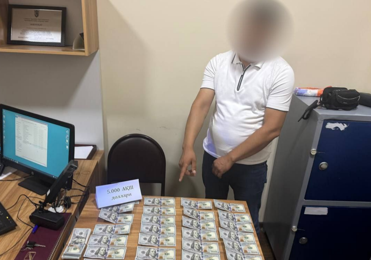 Кадастр - последние новости от команды Repost.uz