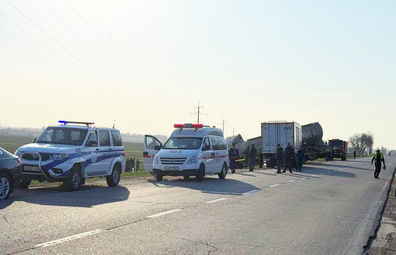 Фото: ГУВД Ташобласти