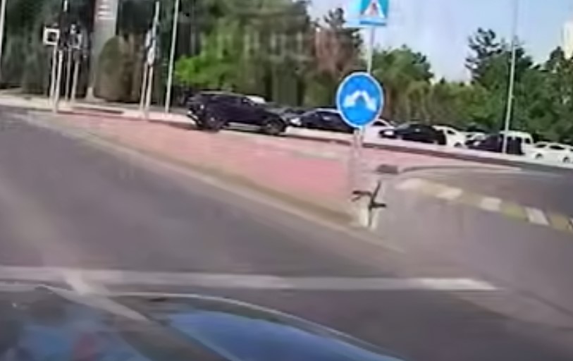 В Ташкенте водитель BYD сбил женщину на пешеходном переходе