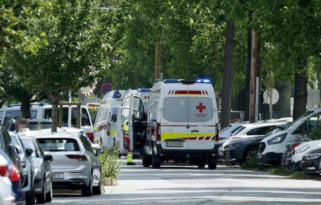В Австрии произошла стрельба в школе, погибли свыше 10 человек