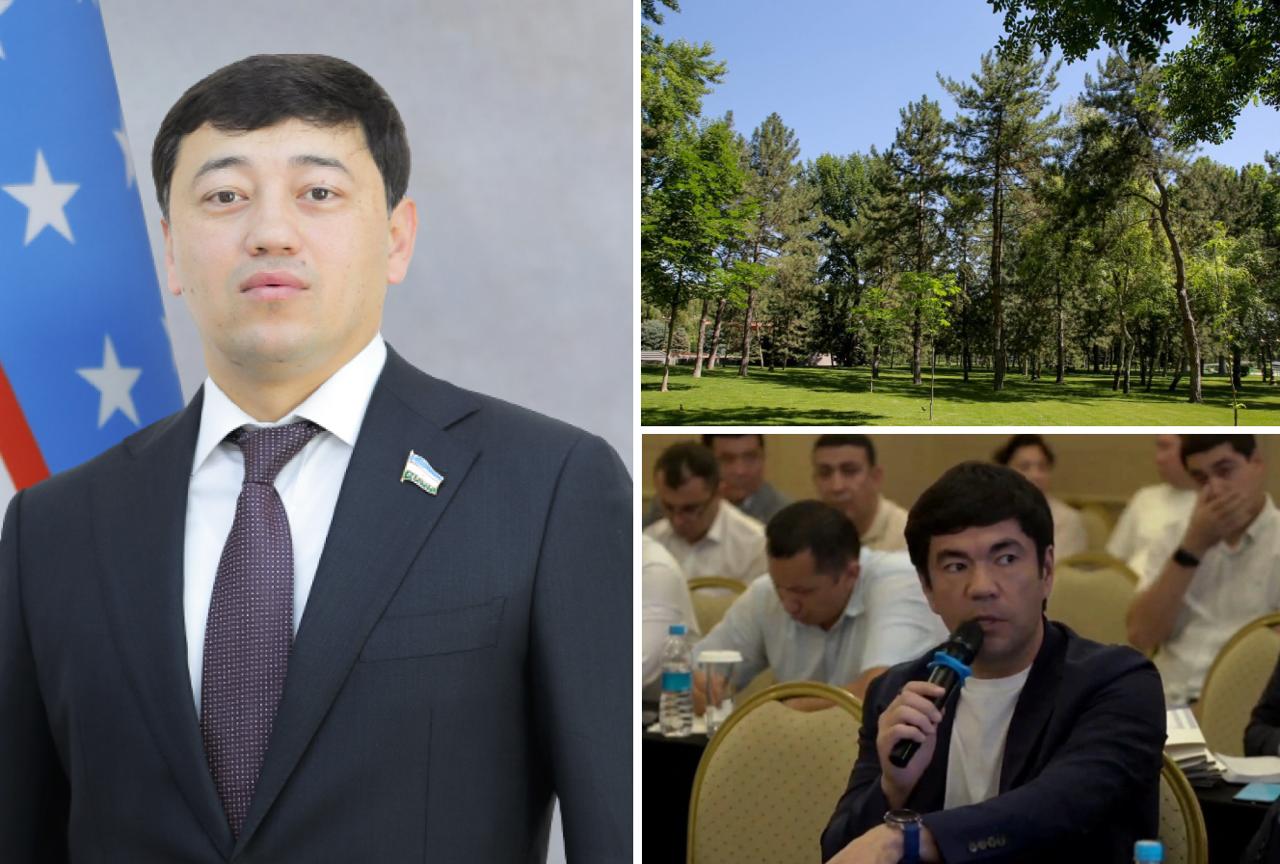 Деревья - последние новости от команды Repost.uz