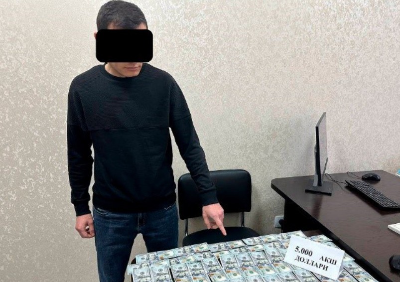 Кадастр - последние новости от команды Repost.uz