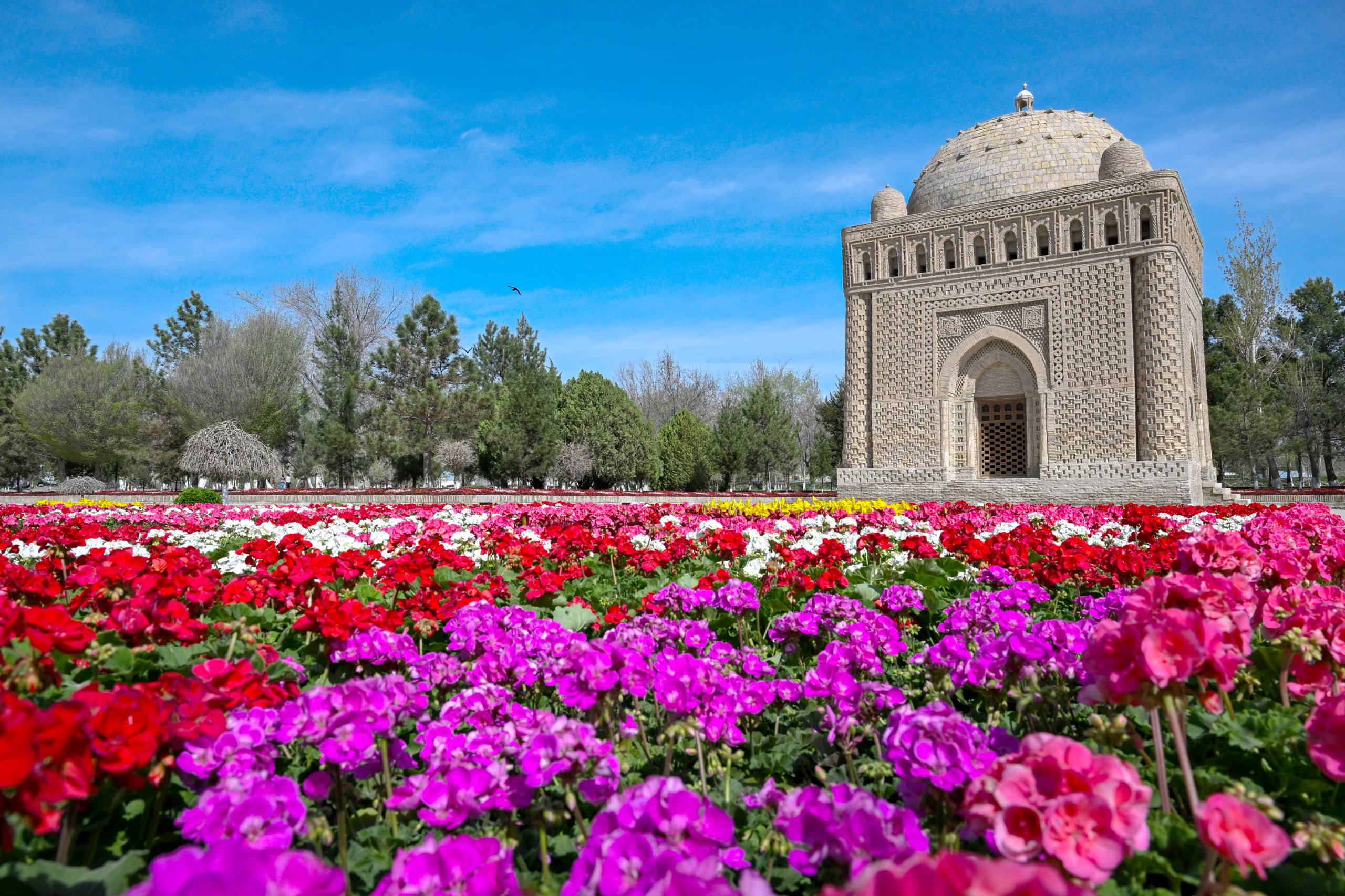 Фото: Пресс-служба президента