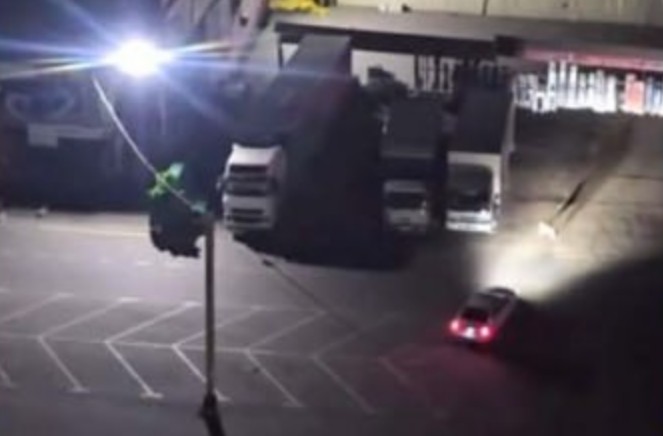 В Ташкенте двое сторожей рынка наехали на собак на машинах