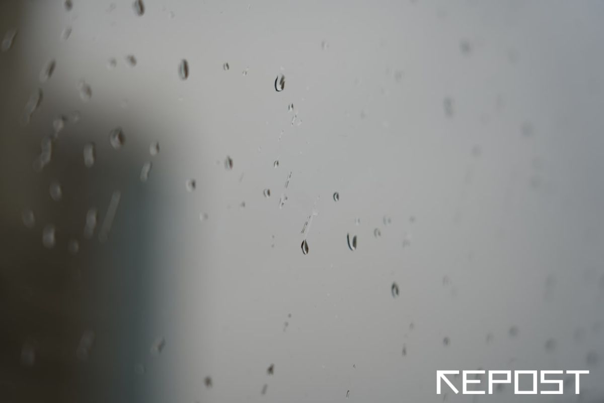 Дожди и понижение температуры: какая погода ждет узбекистанцев на этой неделе