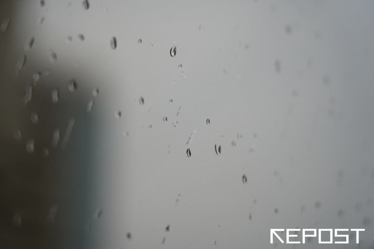 Дожди с грозами: какая погода ждет узбекистанцев на выходных