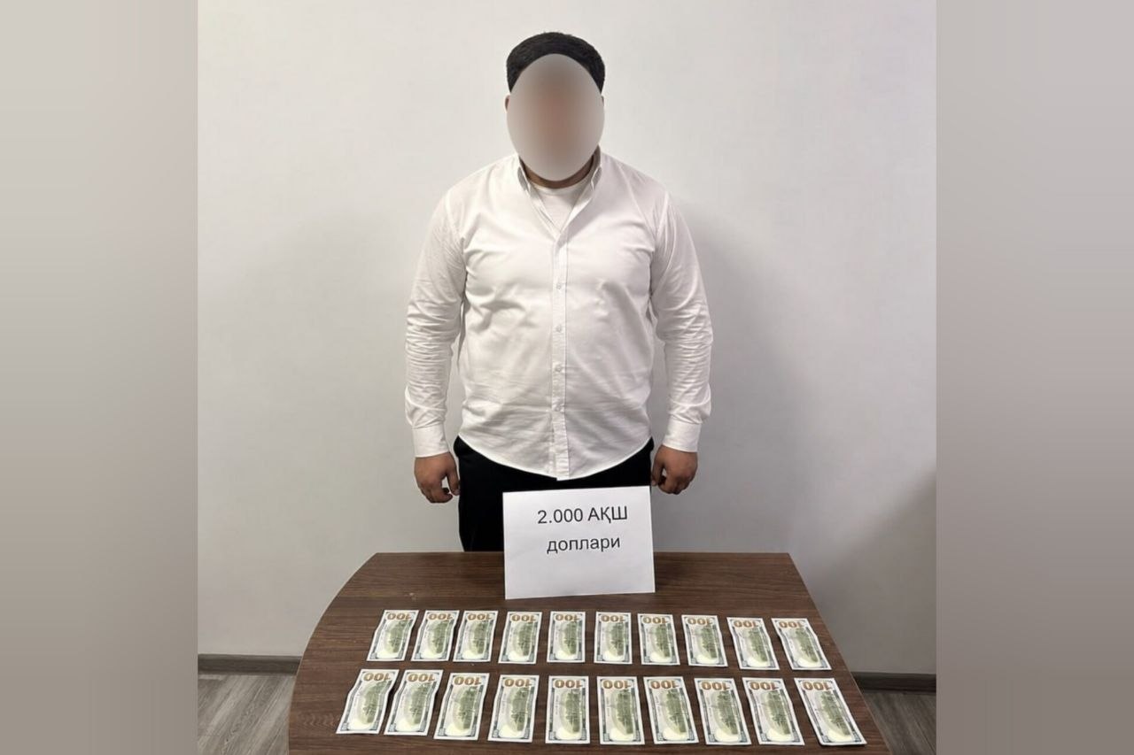 Кадастр - последние новости от команды Repost.uz