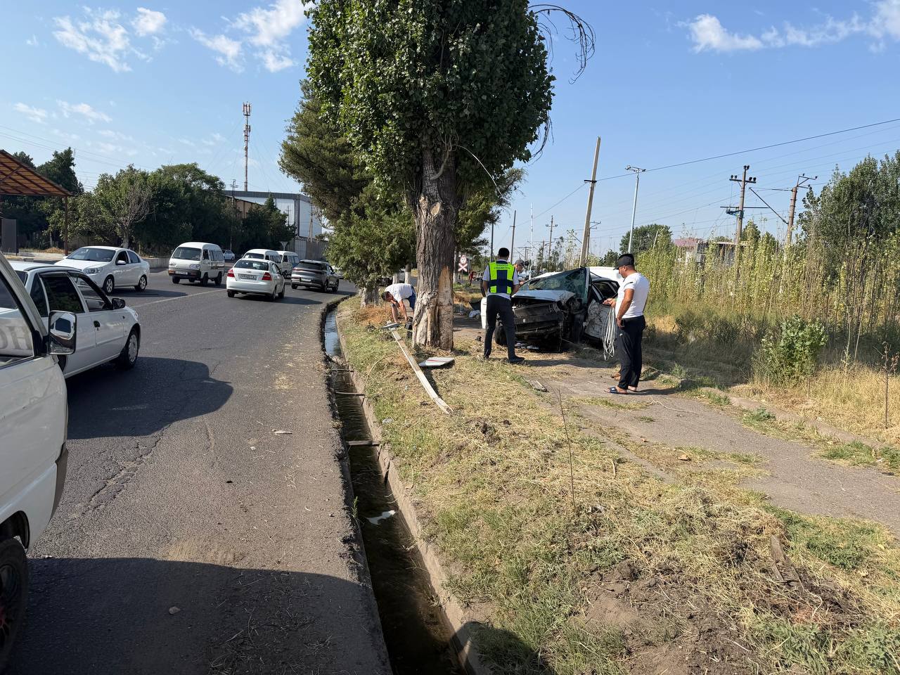 Chirchiqda Lacetti daraxtga urildi, haydovchi halok bo‘ldi