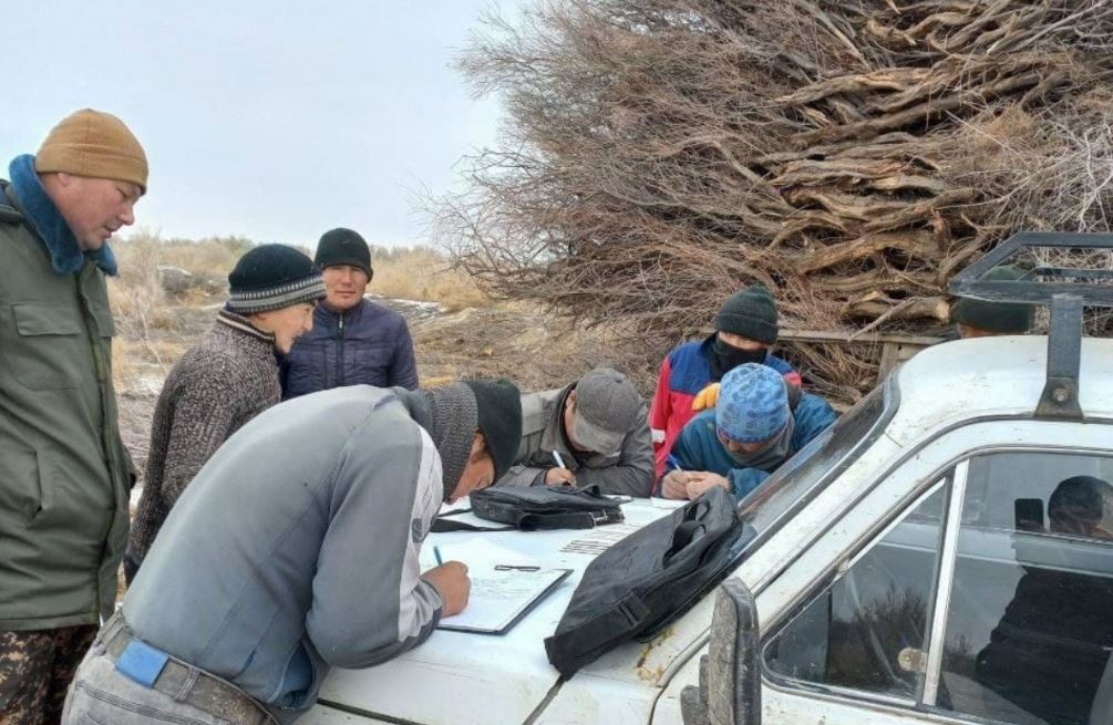 Жителей Каракалпакстана оштрафовали на 40,5 млн сумов за незаконную попытку вывоза тамариска