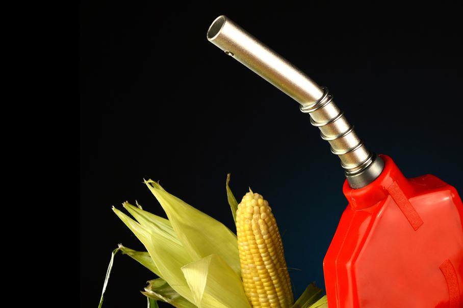Кукурузный этанол оказался опаснее для природы, чем бензин