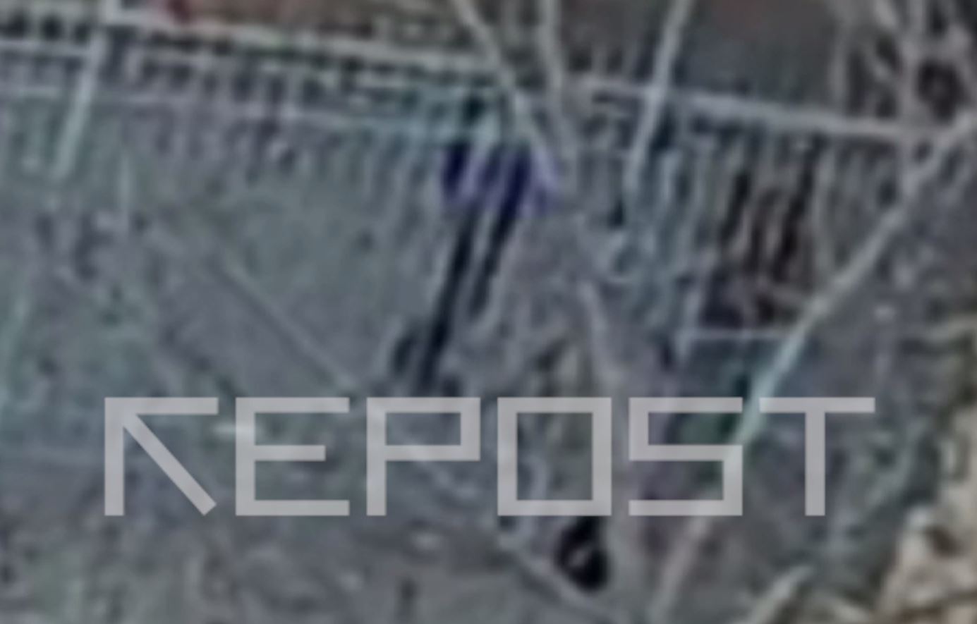 Живодерство  - последние новости от команды Repost.uz