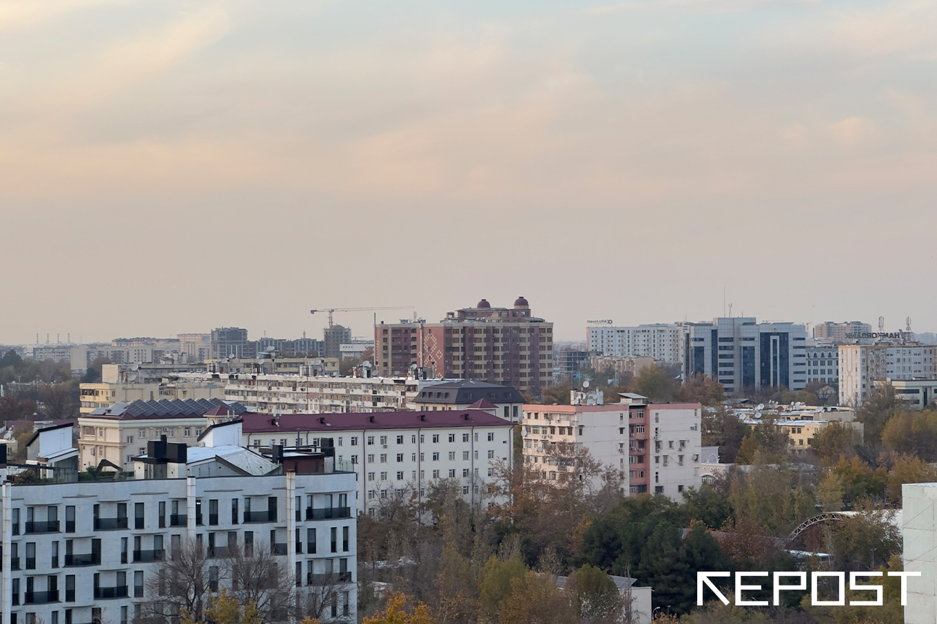 Узбекистанцы стали чаще покупать недвижимость