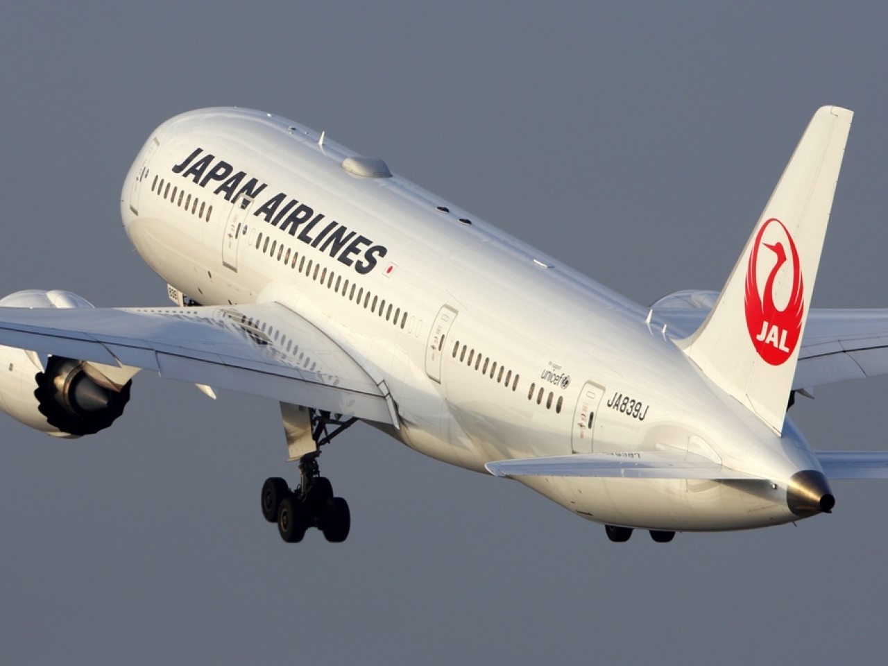 Японская авиакомпания организует чартерные рейсы в Узбекистан