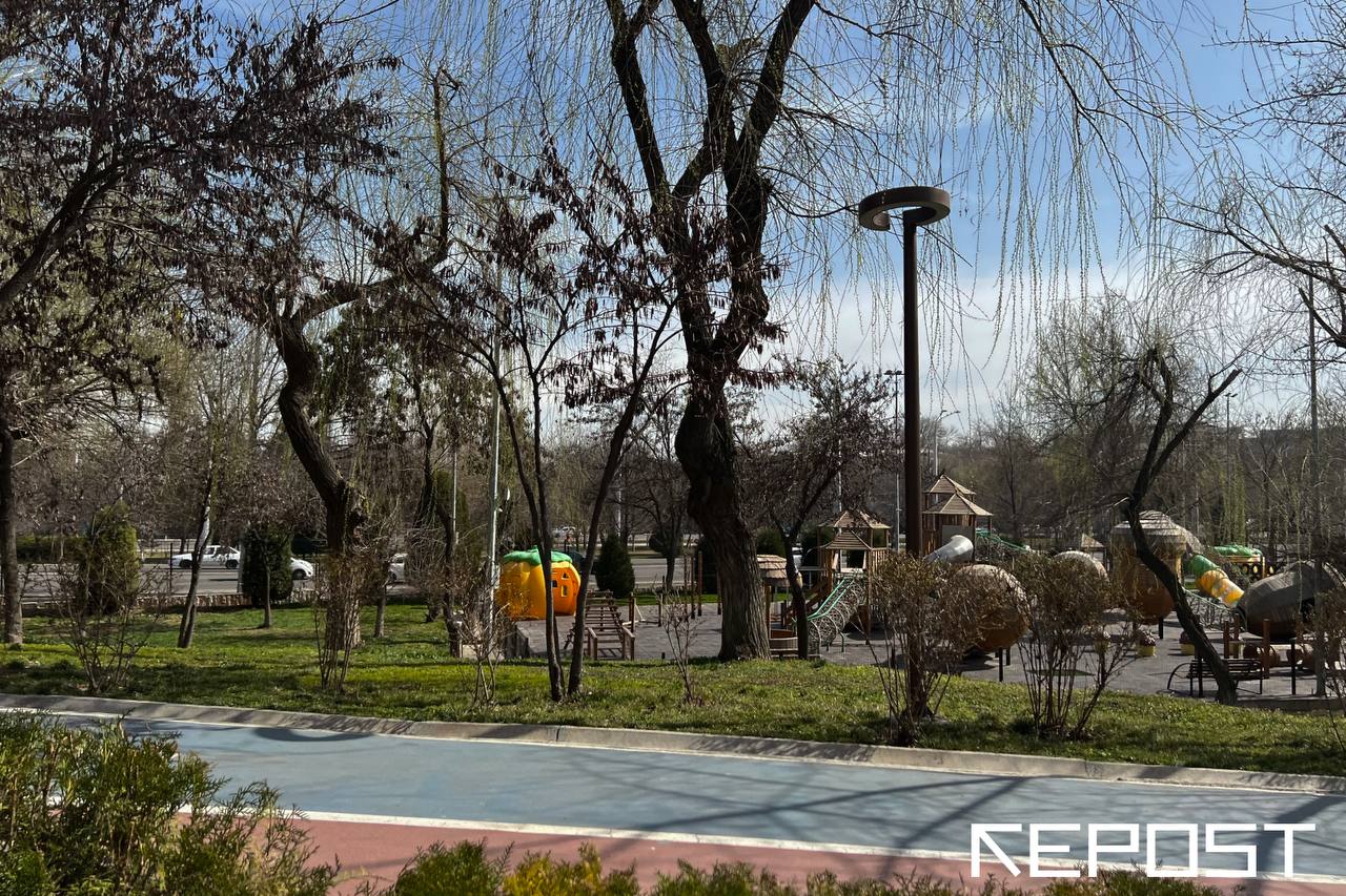 Синоптики рассказали, какая погода ждет узбекистанцев перед выходными