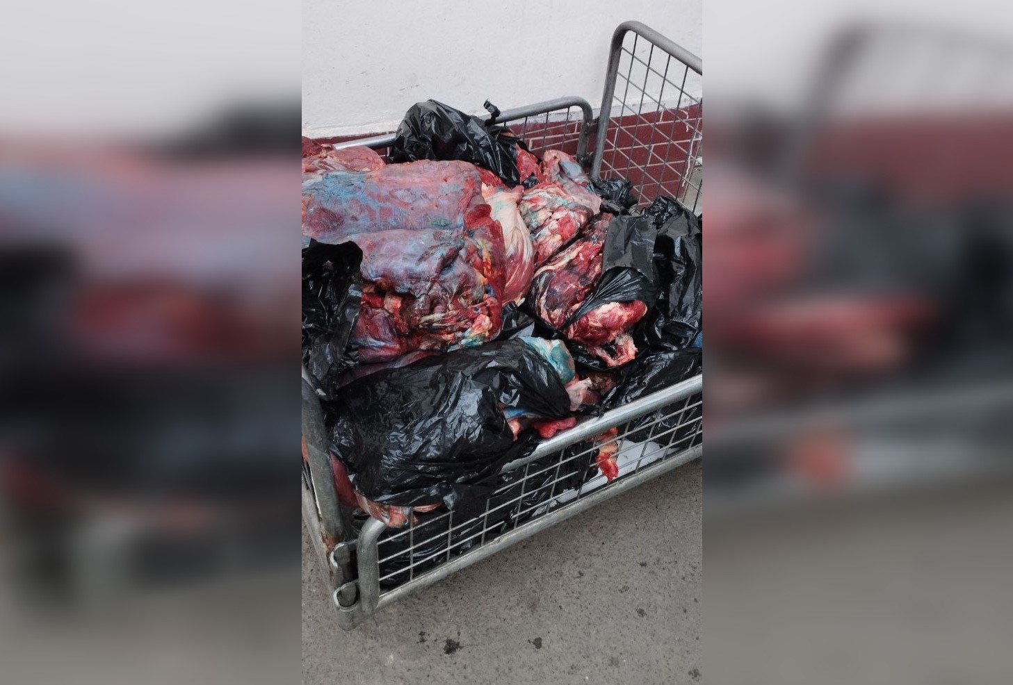 На одном из рынков Ташкента обнаружили более 130 кг испорченного мяса