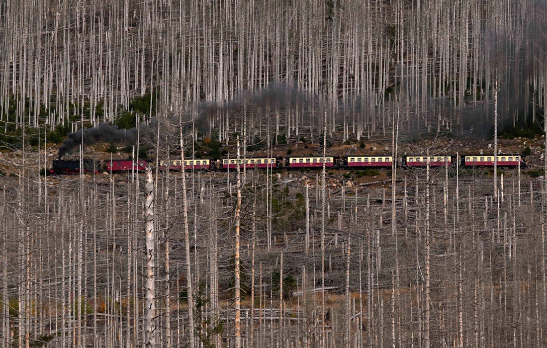 Germaniyaning Harz tog'laridagi o'rmon oralab ketayotgan poyezd<br>Foto: AP