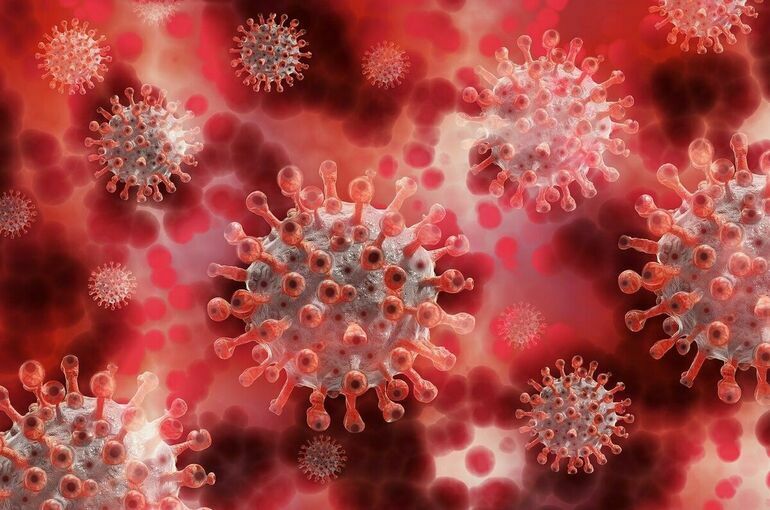 Был ли выявлен новый штамм коронавируса «омикрон» в Узбекистане?