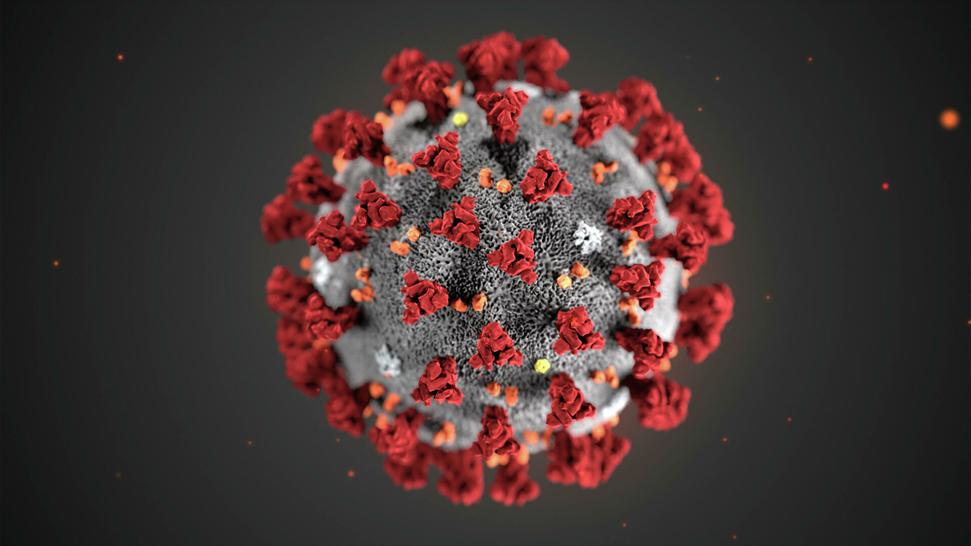 Китайским врачам удалось сфотографировать омикрон-штамм коронавируса — фото