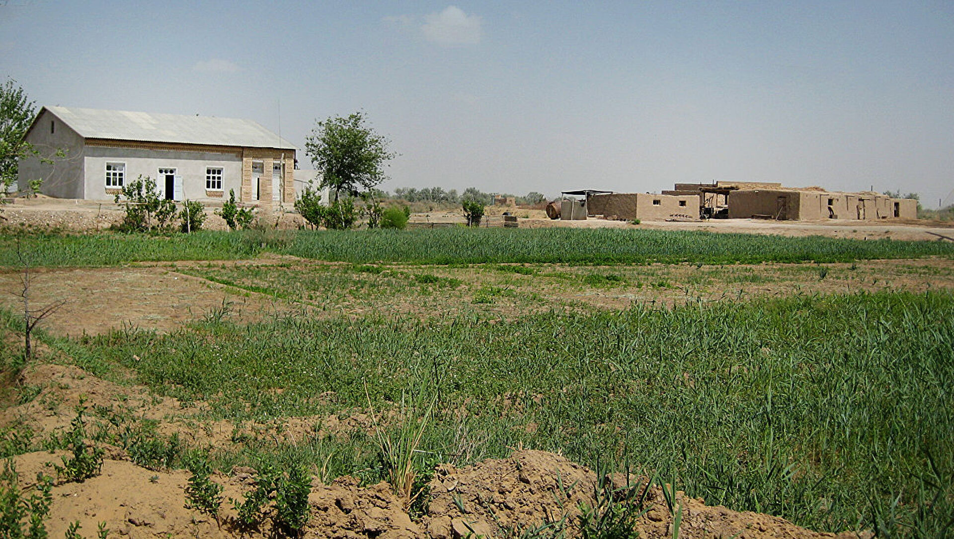 С начала года в Узбекистане самовольно захватили почти 2500 га земель