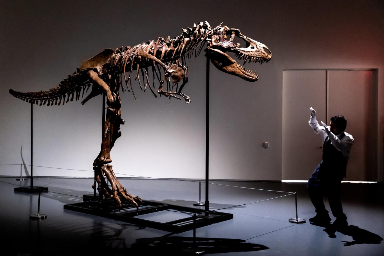 Скелет динозавра возрастом 76 млн лет выставят на аукцион в Нью-Йорке