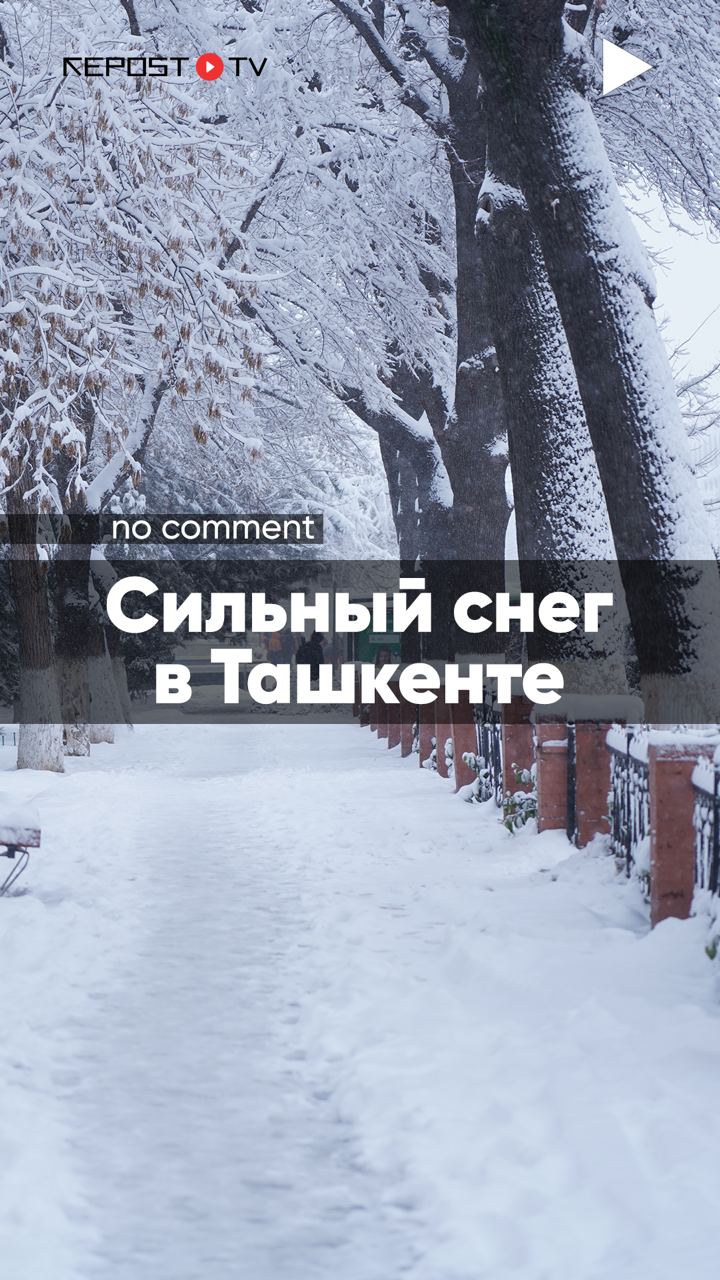 Снег - последние новости от команды Repost.uz