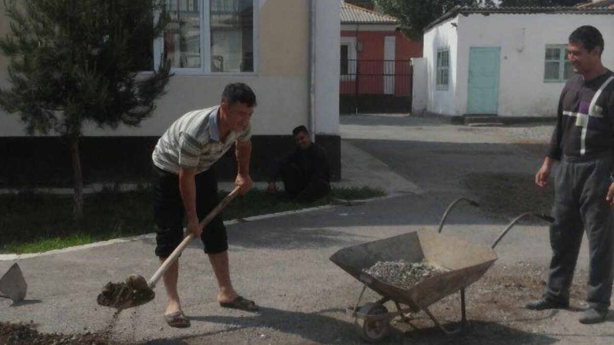 В Узбекистане более 60 чиновников оштрафовали на многомиллионную сумму за принудительный труд