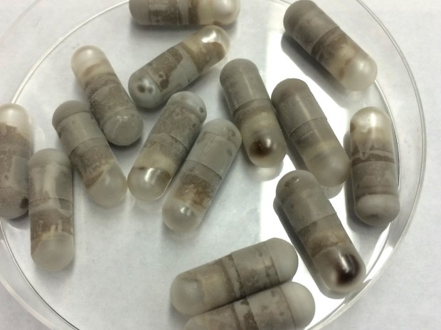 Ученые создали таблетку с фекалиями, которая лечит диарею
