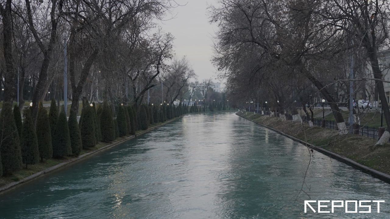 Воздух в Ташкенте сегодня — наконец-то зафиксирован зеленый уровень