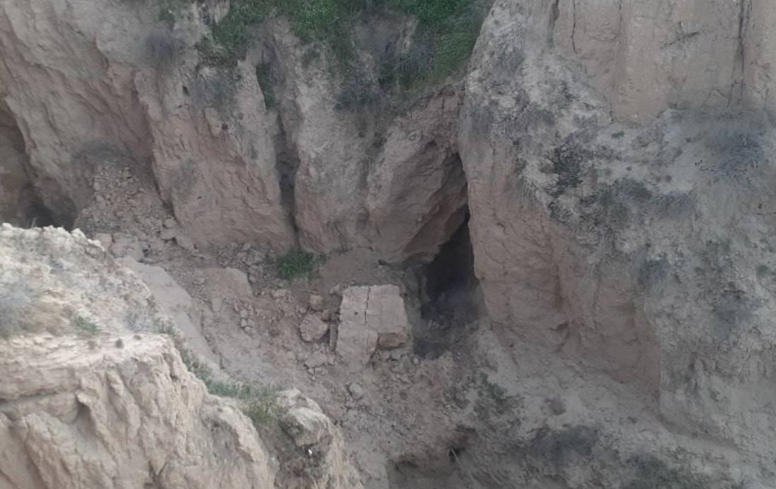 Медведь, за которым гонялись на машине, спрятался в пещере