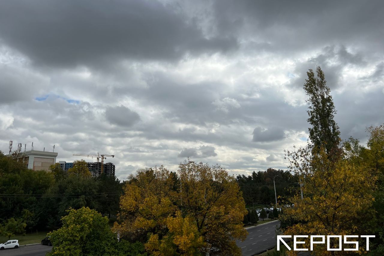 Воздух в Ташкенте на 15 октября: уровень загрязнения превысил норму в семь раз