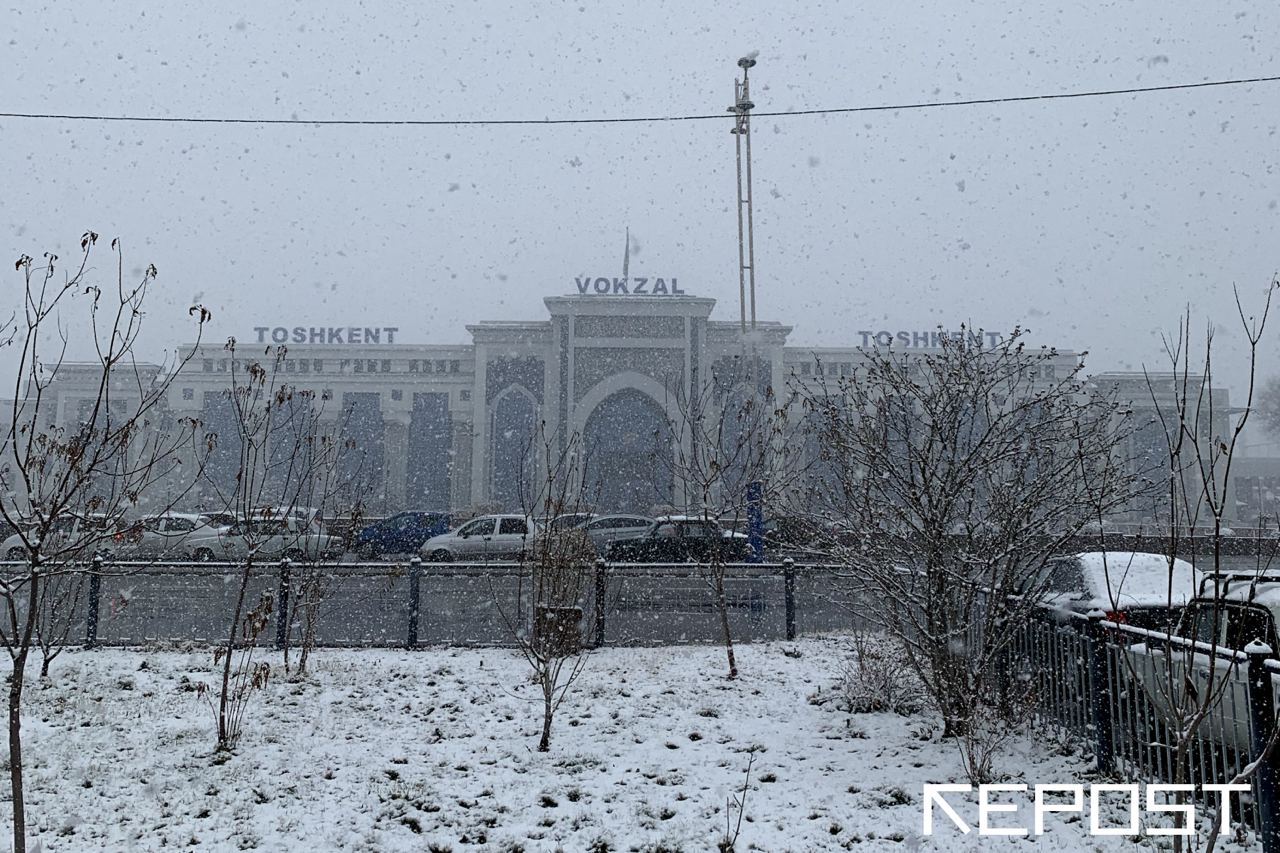 Синоптики рассказали, какая погода ждет узбекистанцев на выходных