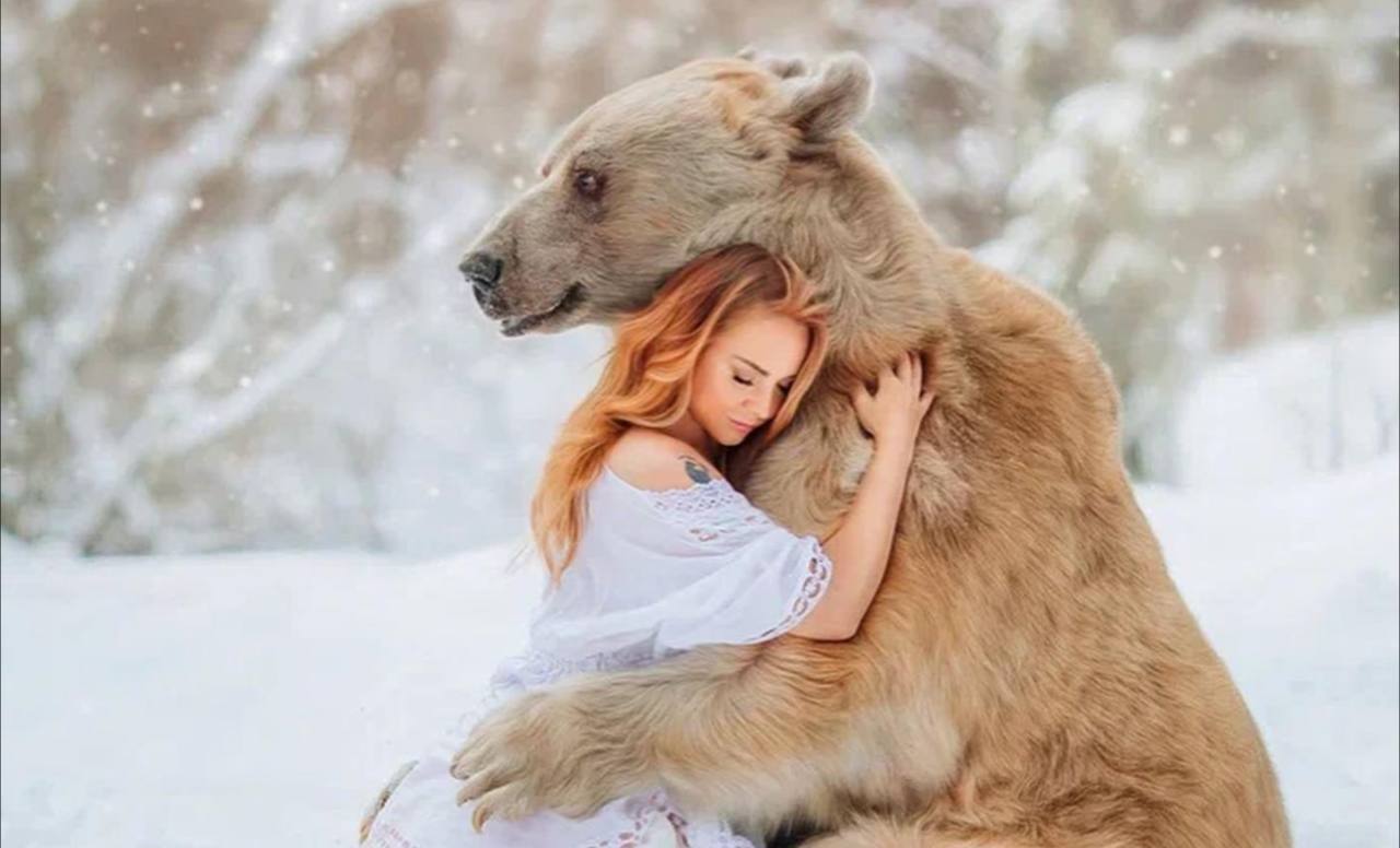 «Бедный медведь»: МакSим раскритиковали за фото с диким животным