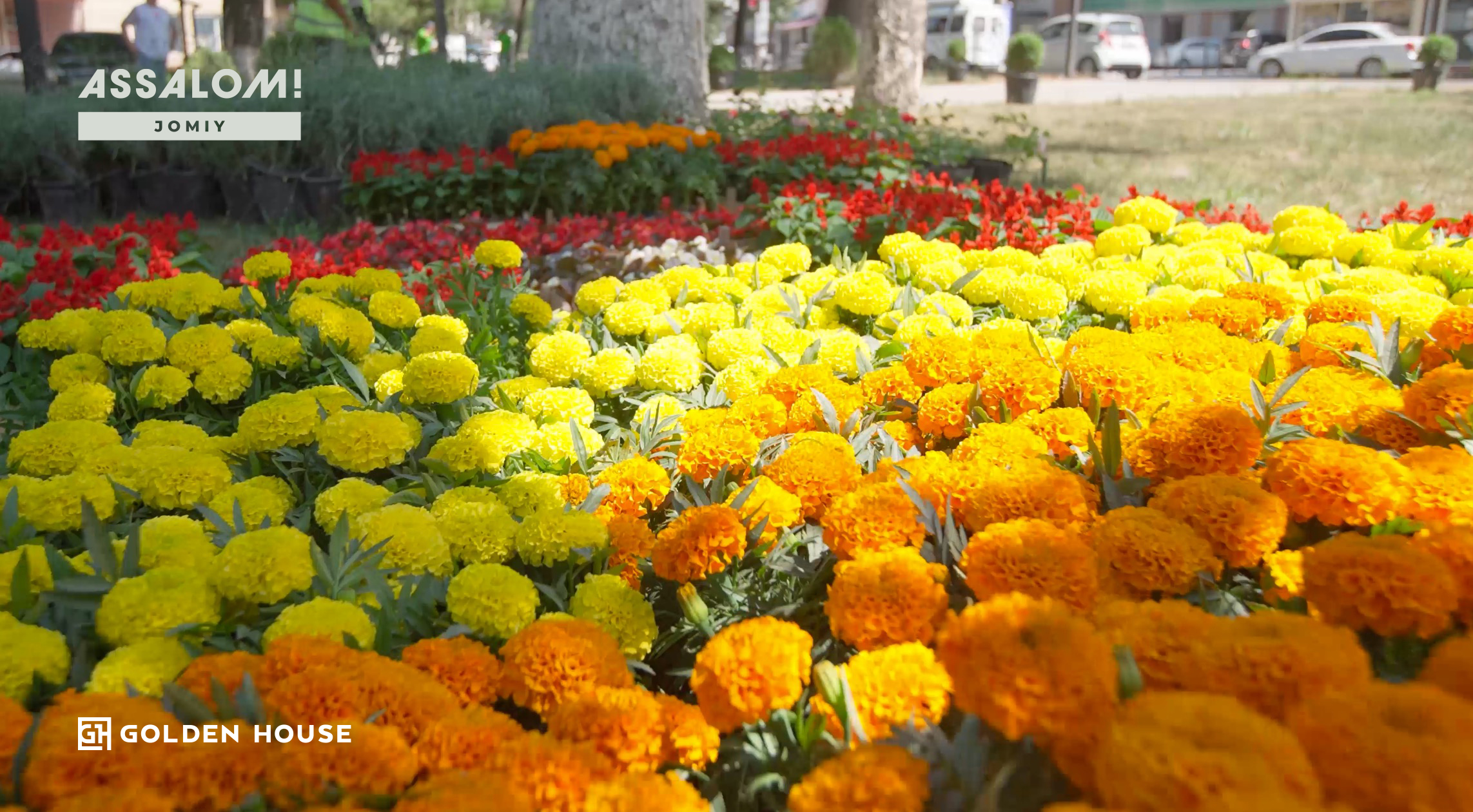 Экологическая акция «День цветов» прошла в ЖК Assalom Jomiy